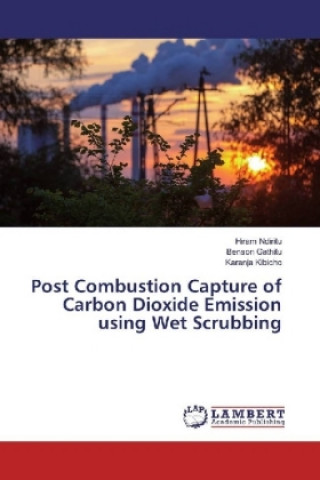 Kniha Post Combustion Capture of Carbon Dioxide Emission using Wet Scrubbing Hiram Ndiritu