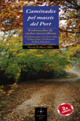 Книга Caminades pel massís del Port VICENT PELLICER OLLES