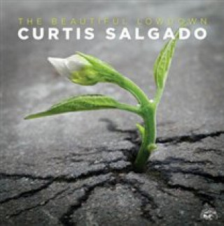 Audio The Beautiful Lowdown Curtis Salgado