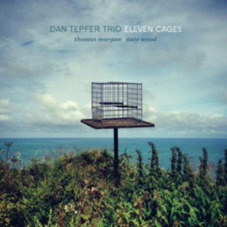 Audio Eleven Cages Dan/Morgan Tepfer