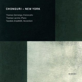 Audio Chonguri (2006) Thomas Larcher/Anzelotti/Demenga