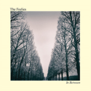 Audio In Between The Feelies