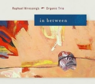 Audio In Between Raphael Wressnig