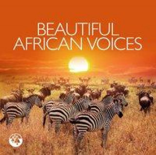 Audio Beautiful African Voices Various