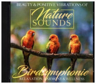 Audio  Birdsymphony Various