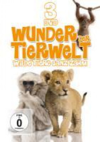 Filmek Wunder Der Tierwelt Special Interest