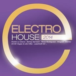 Audio Electro House 2014 Various