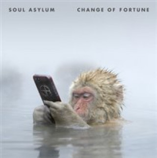 Audio  Change Of Fortune Soul Asylum