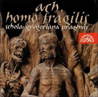 Audio Ach,Homo Fragilis Schola Gregoriana Pragensis