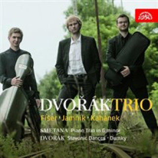 Audio Klaviertrios Dvorak Trio