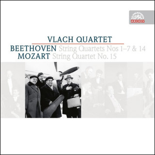 Audio Streichquartette kvarteto Vlachovo