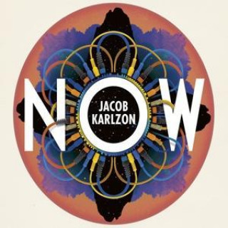 Audio Now (Ltd.Edition) Jacob Karlzon