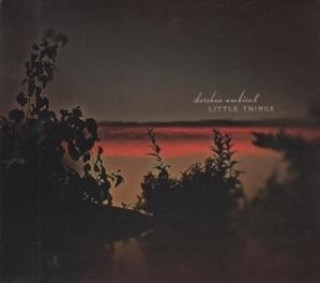 Audio Little Things Darshan Ambient