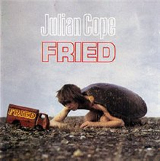 Audio Fried Julian Cope