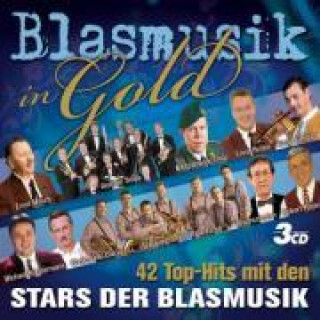 Audio Blasmusik In Gold Various