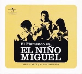 Audio El Flamenco Es El Nino Miguel