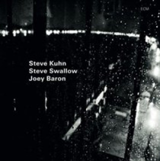Audio Wisteria Steve/Swallow Kuhn