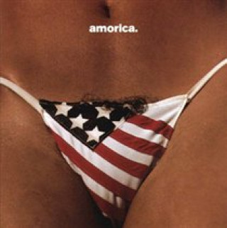 Audio Amorica. The Black Crowes