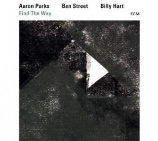 Audio Find the way, 1 Audio-CD Aaron Parks