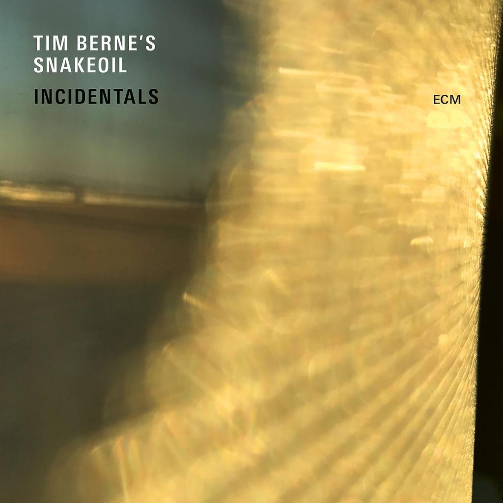 Zvok Incidentals Tim Bernes Snakeoil