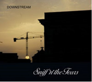 Knjiga Downstream Sniff 'N' The Tears