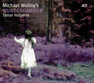 Audio Wunderkammer Michael Wollny