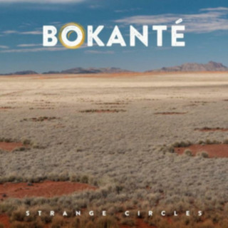 Аудио Strange Circles Bokant