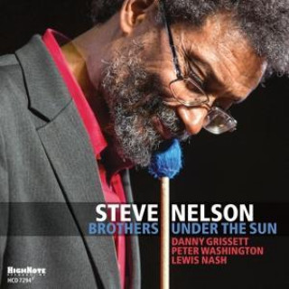 Audio Brothers Under the Sun Steve Nelson