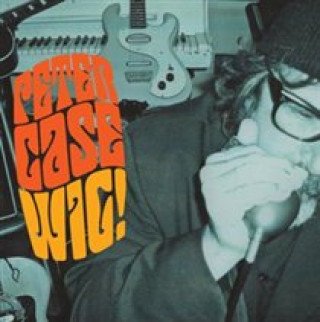 Audio Wig! Peter Case