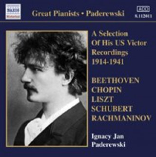 Audio Us Victor Recordings 1914-1941 Ignaz Jan Paderewski