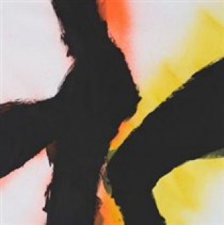 Audio Alien Flower Sutra Rob Mazurek