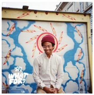 Audio What For? Toro Y Moi