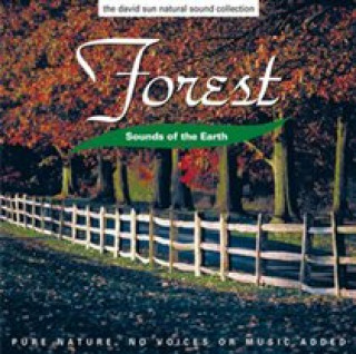 Zvok Forest Sounds Of The Earth