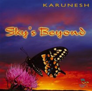Аудио Sky's Beyond Karunesh