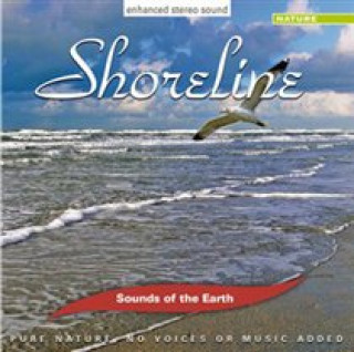 Audio Shoreline David Sun