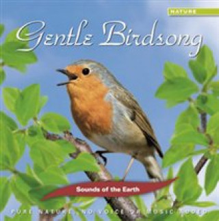 Hanganyagok Gentle Birdsong Sounds Of The Earth