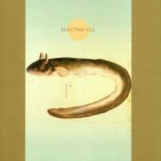 Audio Electric Eel Makigami Koichi