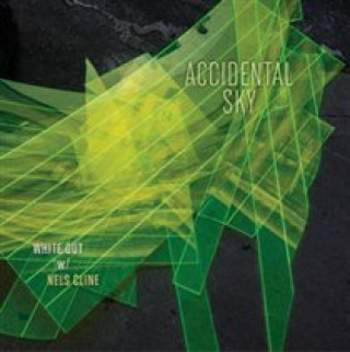 Zvok Accidental Sky White Out With Nels Cline