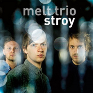 Audio Stroy Melt Trio (Meyer/Baumgärtner/Meyer)