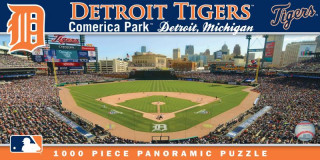 Książka Detroit Tigers 