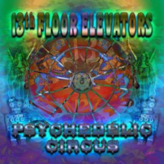 Audio Psychedelic Circus 13th Floor Elevators