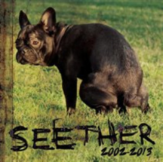 Audio Seether 2002-2013 Seether