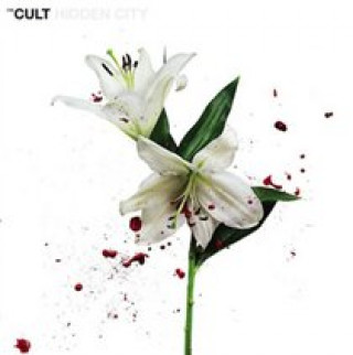 Audio Hidden City The Cult
