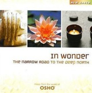 Аудио In Wonder-The Narrow Road To 