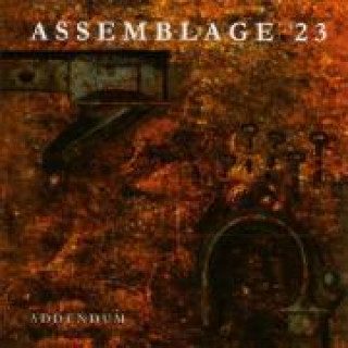 Audio Addendum Assemblage 23