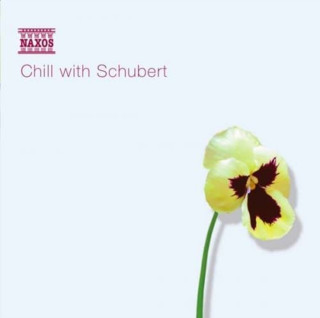 Audio Chill With Schubert Various