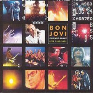 Audio One Wild Night Bon Jovi