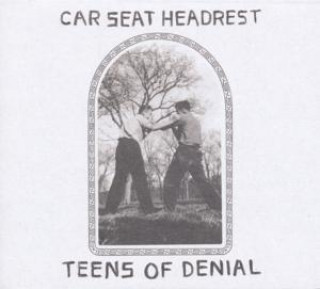 Audio  Teens Of Denial Car Seat Headrest