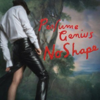 Audio No Shape Perfume Genius