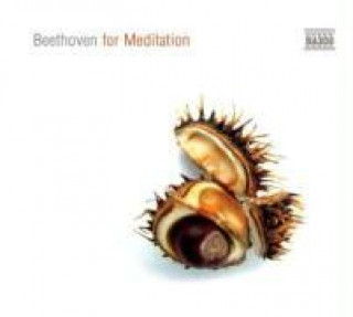 Audio Beethoven For Meditation Various